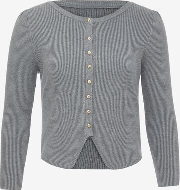 VERNOLE Knit Cardigan in Grey: front