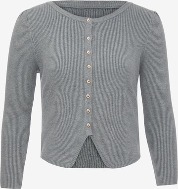 Cardigan VERNOLE en gris : devant