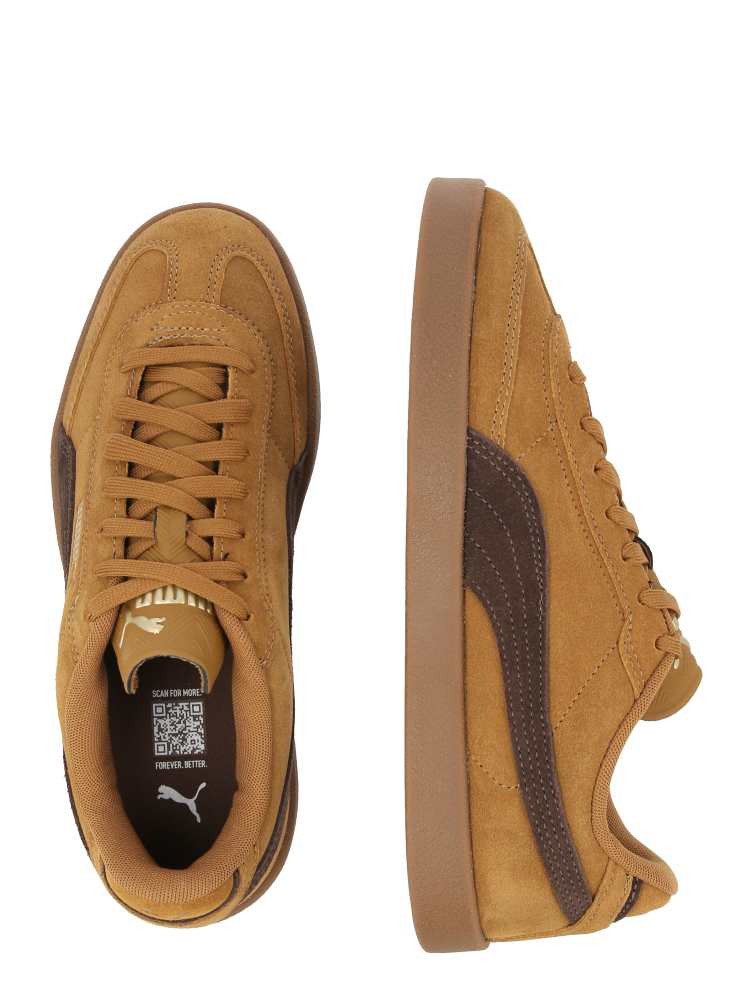 Baskets basses 'Club II Era Suede' PUMA en marron
