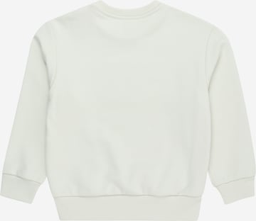 DIESEL Sweatshirt i grå