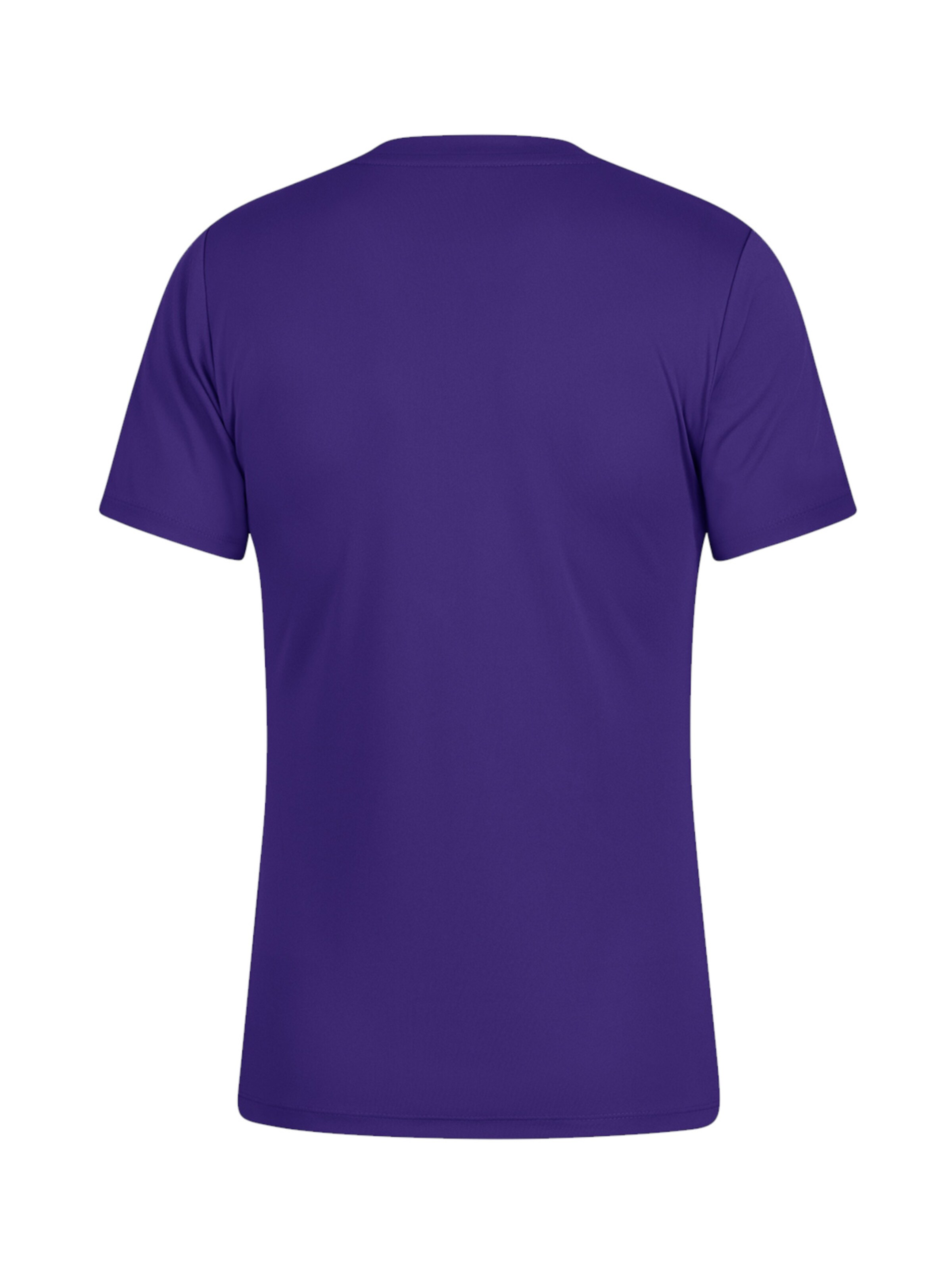 JAKO Performance Shirt 'Power' in Purple