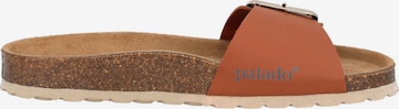 Palado Mules 'Malta EGS' in Brown