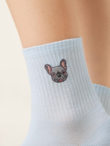 CALZEDONIA Socks 'Dog' in Blue