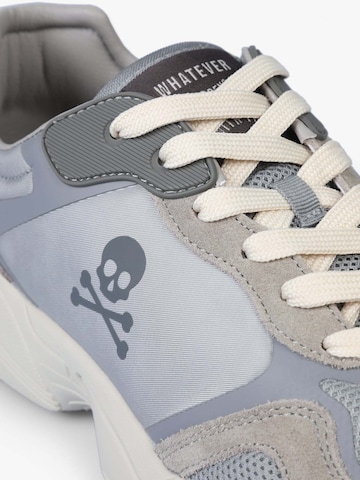 Scalpers Låg sneaker 'Nieves' i grå