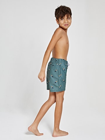 Shiwi Board Shorts in Green