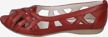 JOSEF SEIBEL Ballet Flats 'Fiona' in Red: front