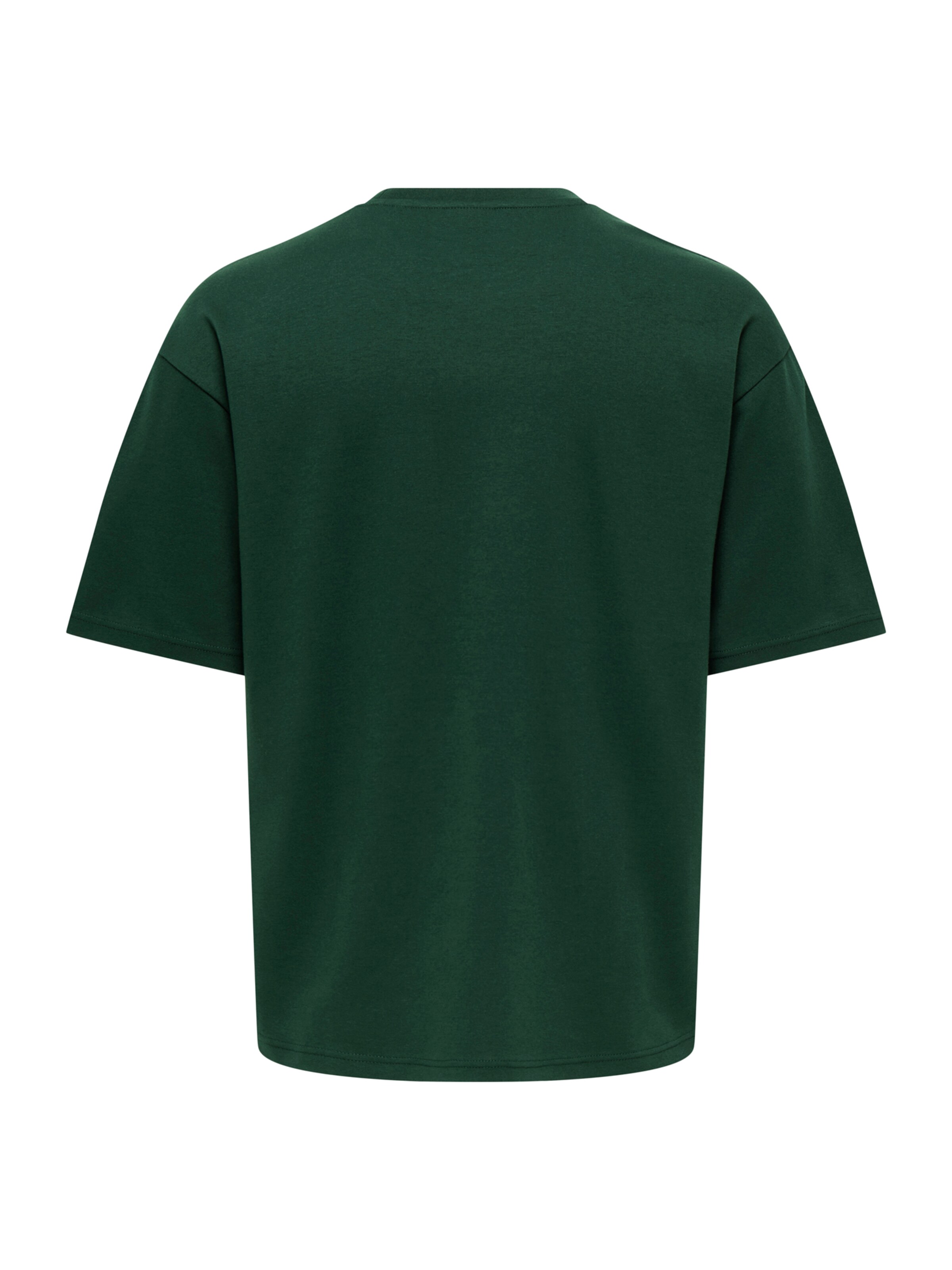 Only & Sons Shirt 'ONSCASPIAN' in Green