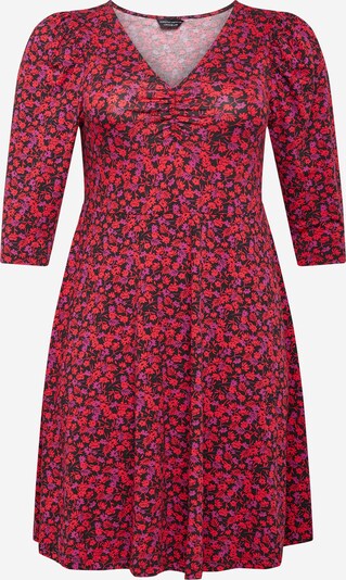 Dorothy Perkins Curve Kleid in mischfarben, Produktansicht