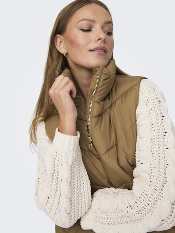 Gilet 'Finno' JDY en marron