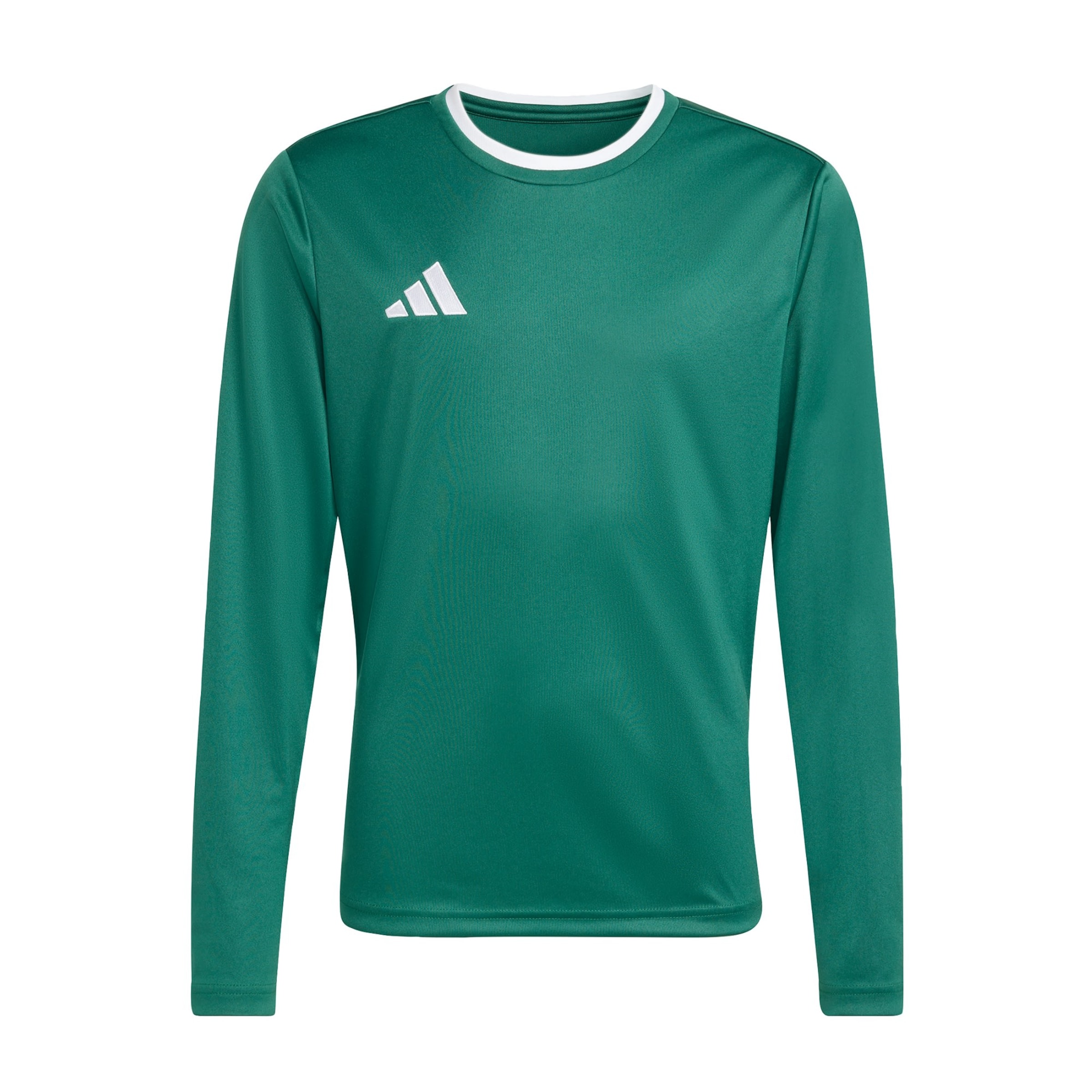ADIDAS PERFORMANCE - Camisa funcionais 'Entrada26' em verde: frente