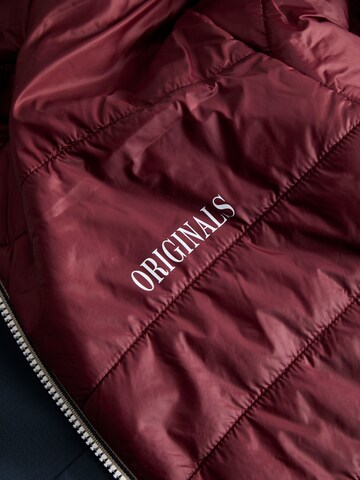 JACK & JONES Jacke in Blau