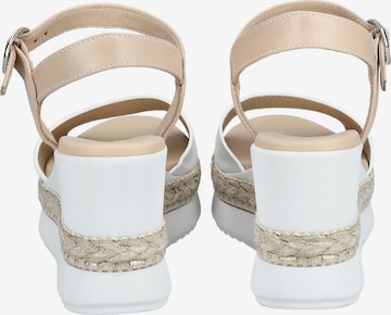 Nero Giardini Sandals in White