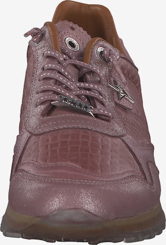 Cetti Sneakers 'C848 SRA W' in Brown