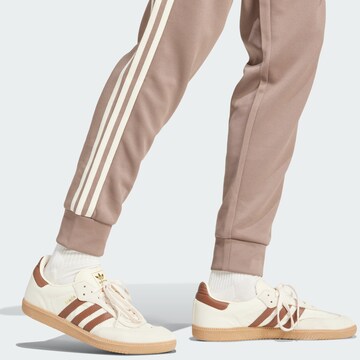 ADIDAS ORIGINALS Tapered Trousers in Brown