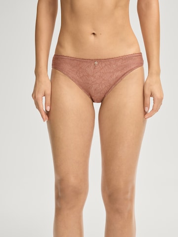 Culotte 'Sheer' JOOP! en orange : devant