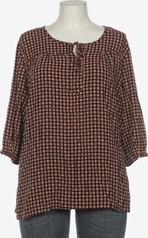 Bexleys Blouse & Tunic in 5XL in Brown: front