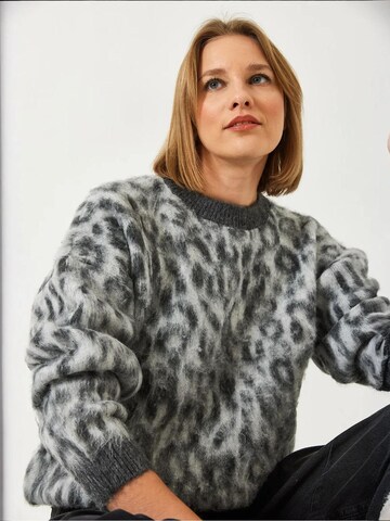 Bianco Lucci Sweater in Mixed colours