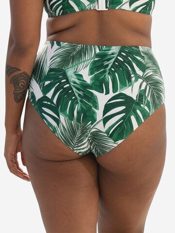 SugarShape Bikinibroek 'Monaco' in Groen