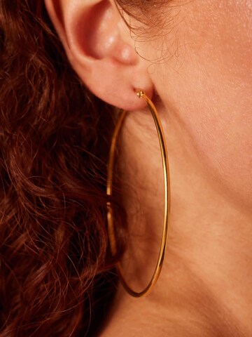 Boucles d'oreilles Lucardi en or : devant