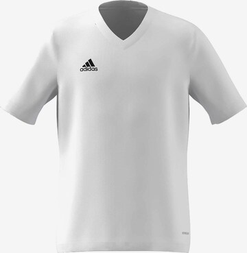 T-Shirt fonctionnel 'Entrada 22' ADIDAS PERFORMANCE en blanc : devant