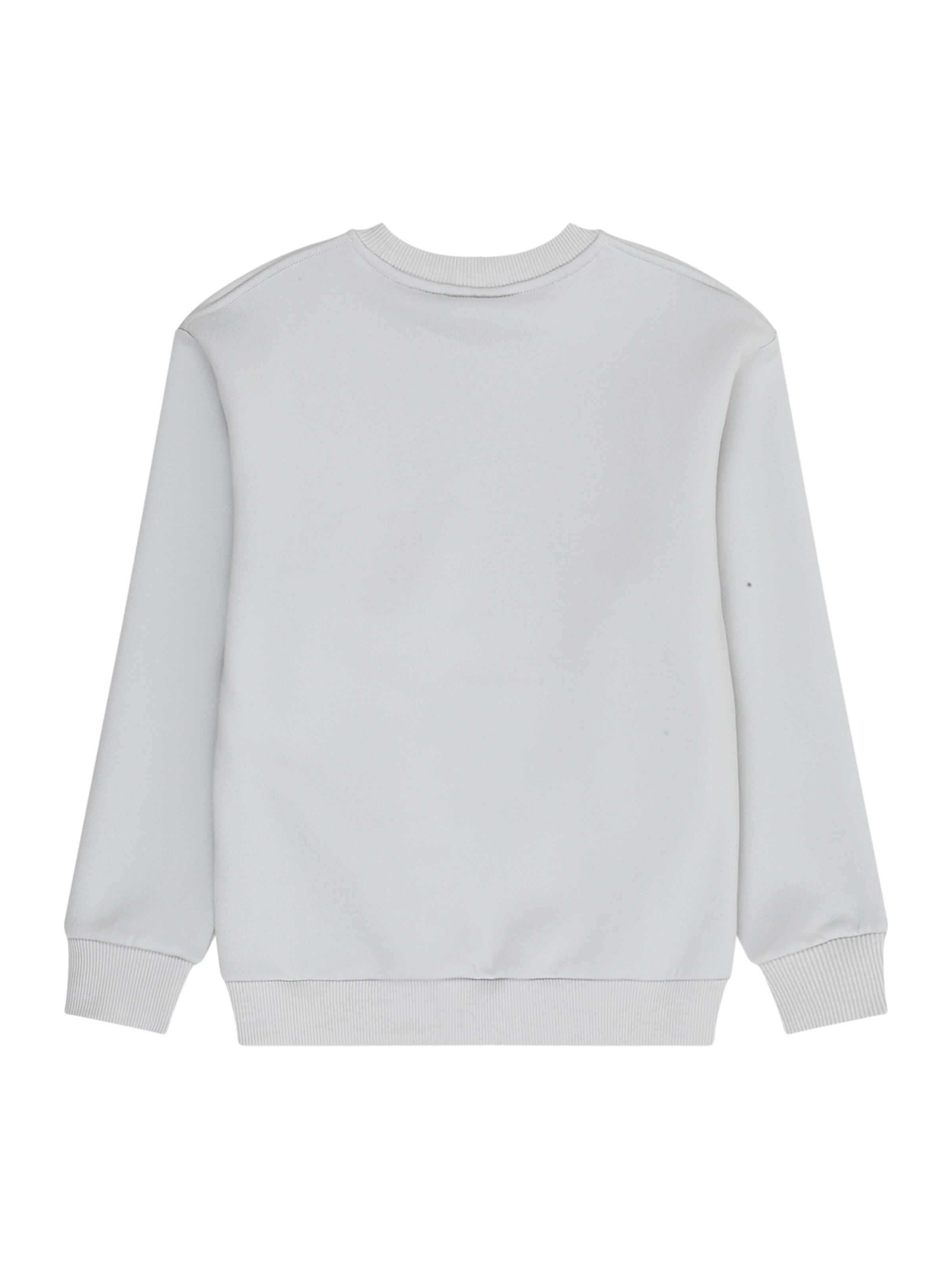 pelēks Cars Jeans Sportisks džemperis 'EAMON'