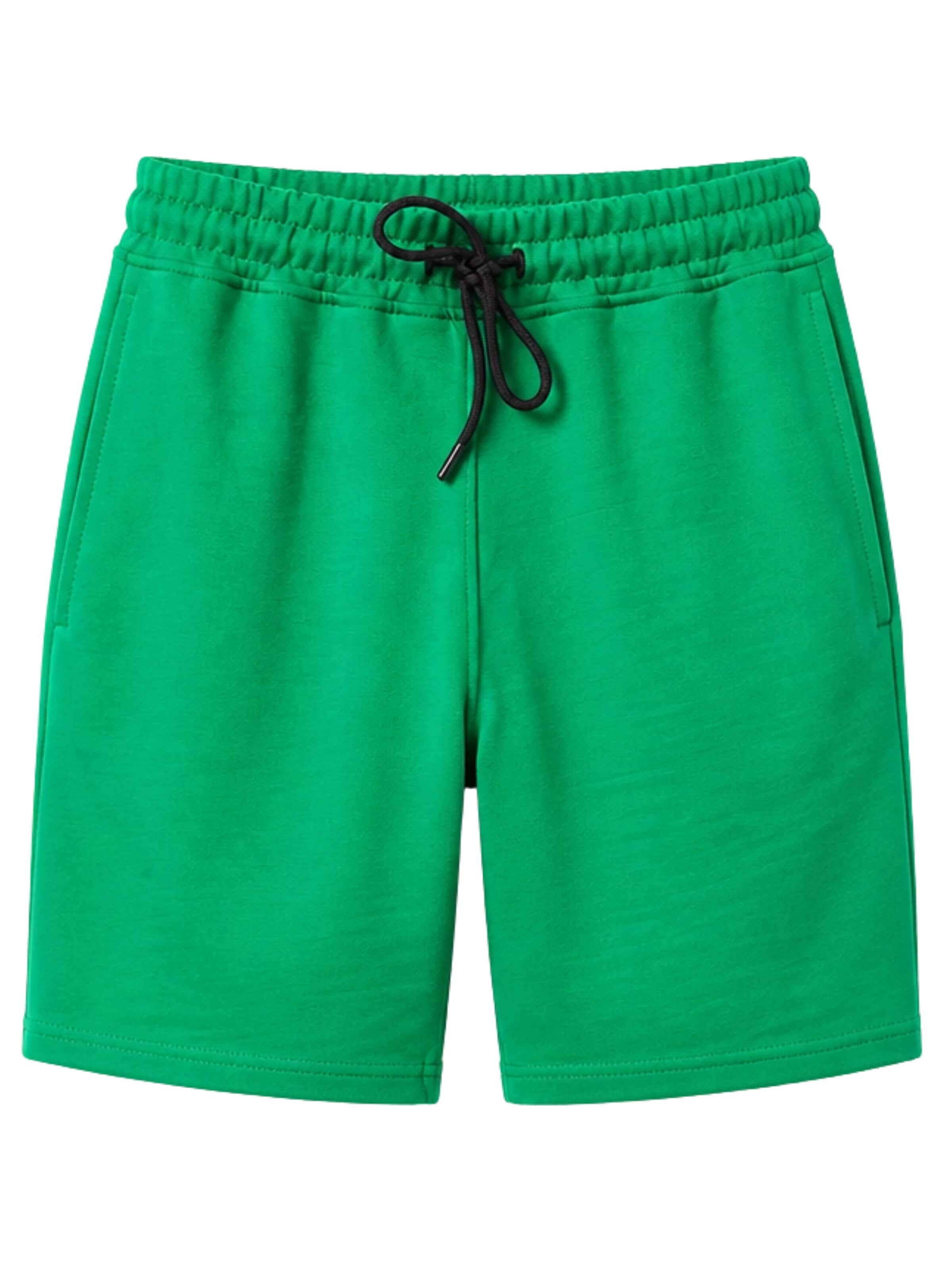 LOUIS LECLER Pants 'Otto' in 30 in Green, Item view