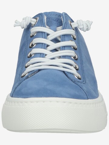 Sneaker bassa di Paul Green in blu