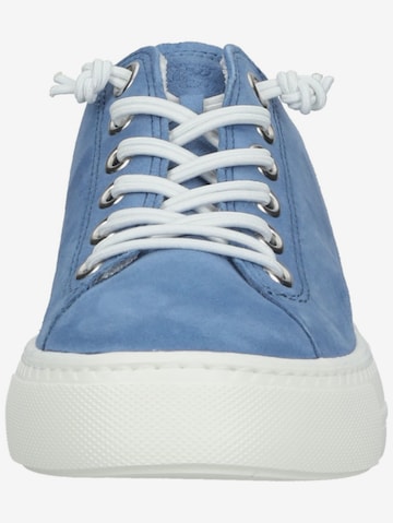Paul Green Sneaker in Blau