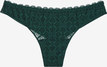 INTIMISSIMI Panty in Green: front