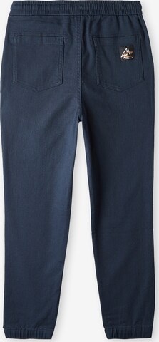 O'NEILL Regular Pants in Blue