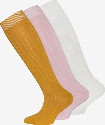 Regular Chaussettes EWERS en mélange de couleurs : devant