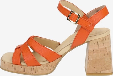 Paul Green Strap Sandals in Orange