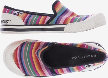 Rocket 2025 dog slippers