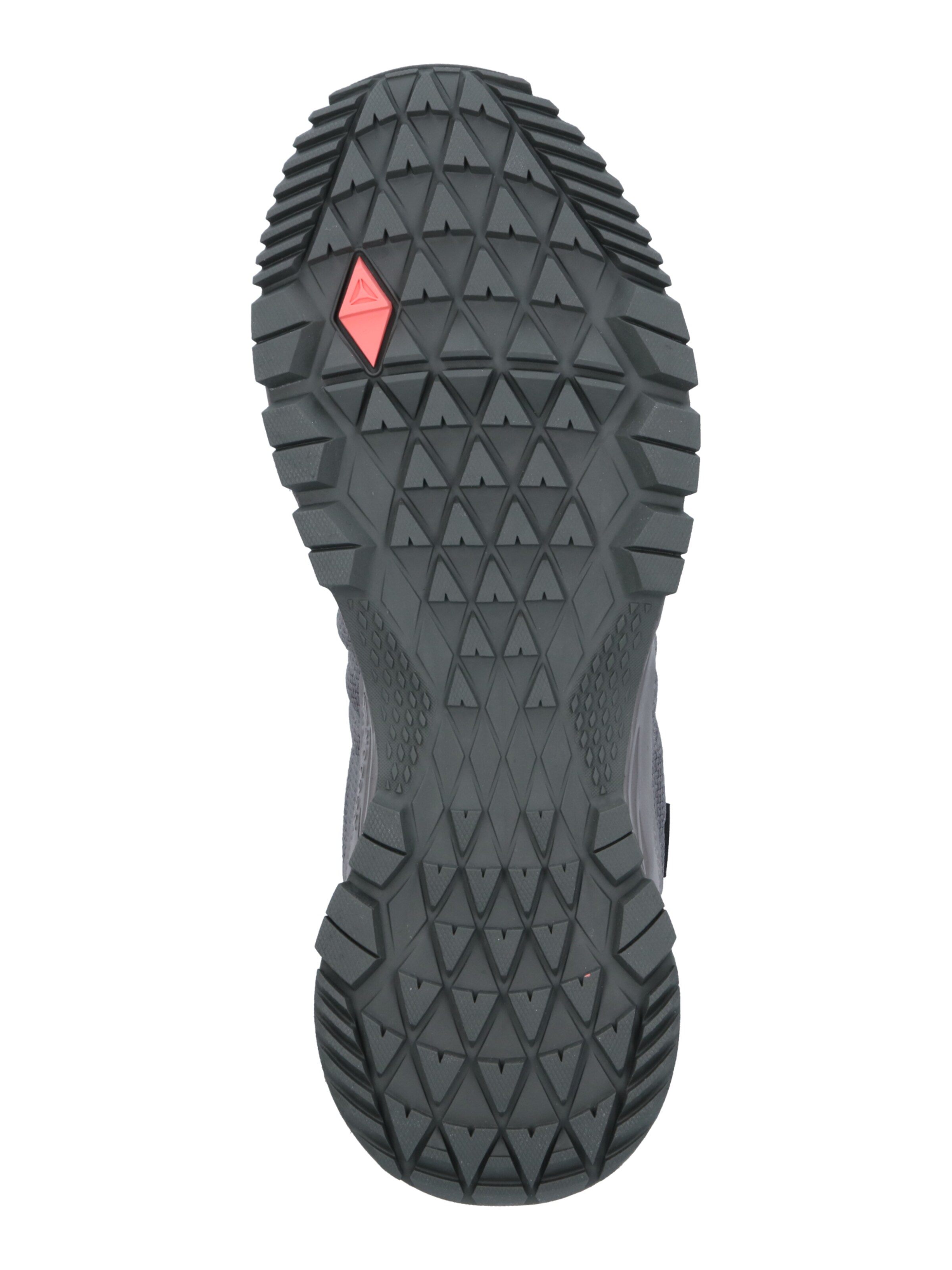 Reebok Αθλητικό παπούτσι 'ASTRORIDE TRAIL GTX 2.0 ' σε γκρι