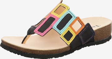 THINK! Zehentrenner 'Julia' in Mischfarben: Vorderseite