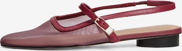 TOMMY HILFIGER Nauhaballerina värissä punainen: etupuoli