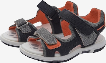 CHICCO Sandals & Slippers 'Fraser' in Grey