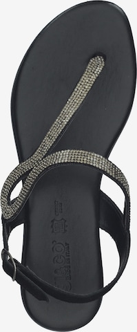 IGI&CO T-Bar Sandals in Black