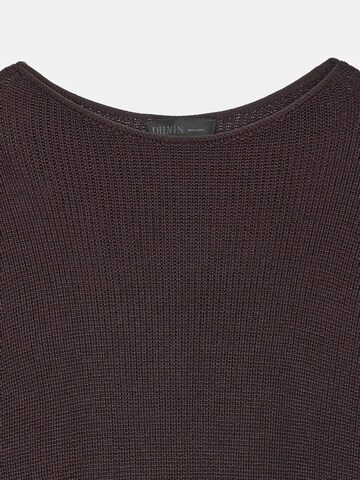 Dilvin - Pullover 'Pullover' em castanho