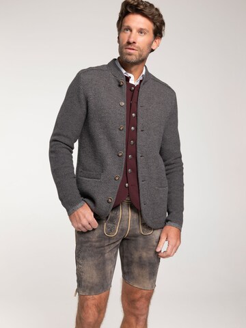 SPIETH & WENSKY Knit cardigan 'Gasteig' in Grey: front
