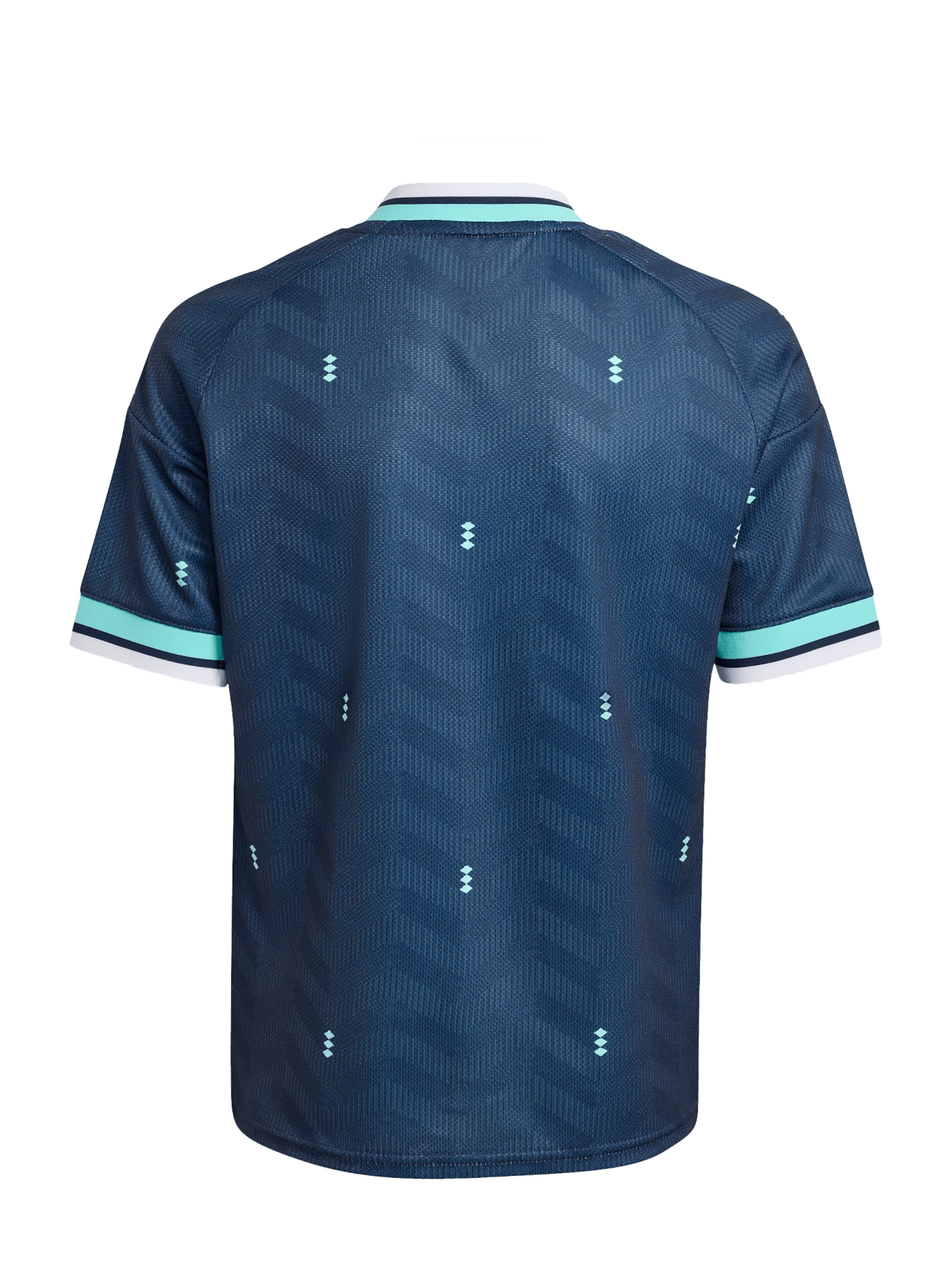 zils ADIDAS ORIGINALS Sporta krekls 'DFB Away'