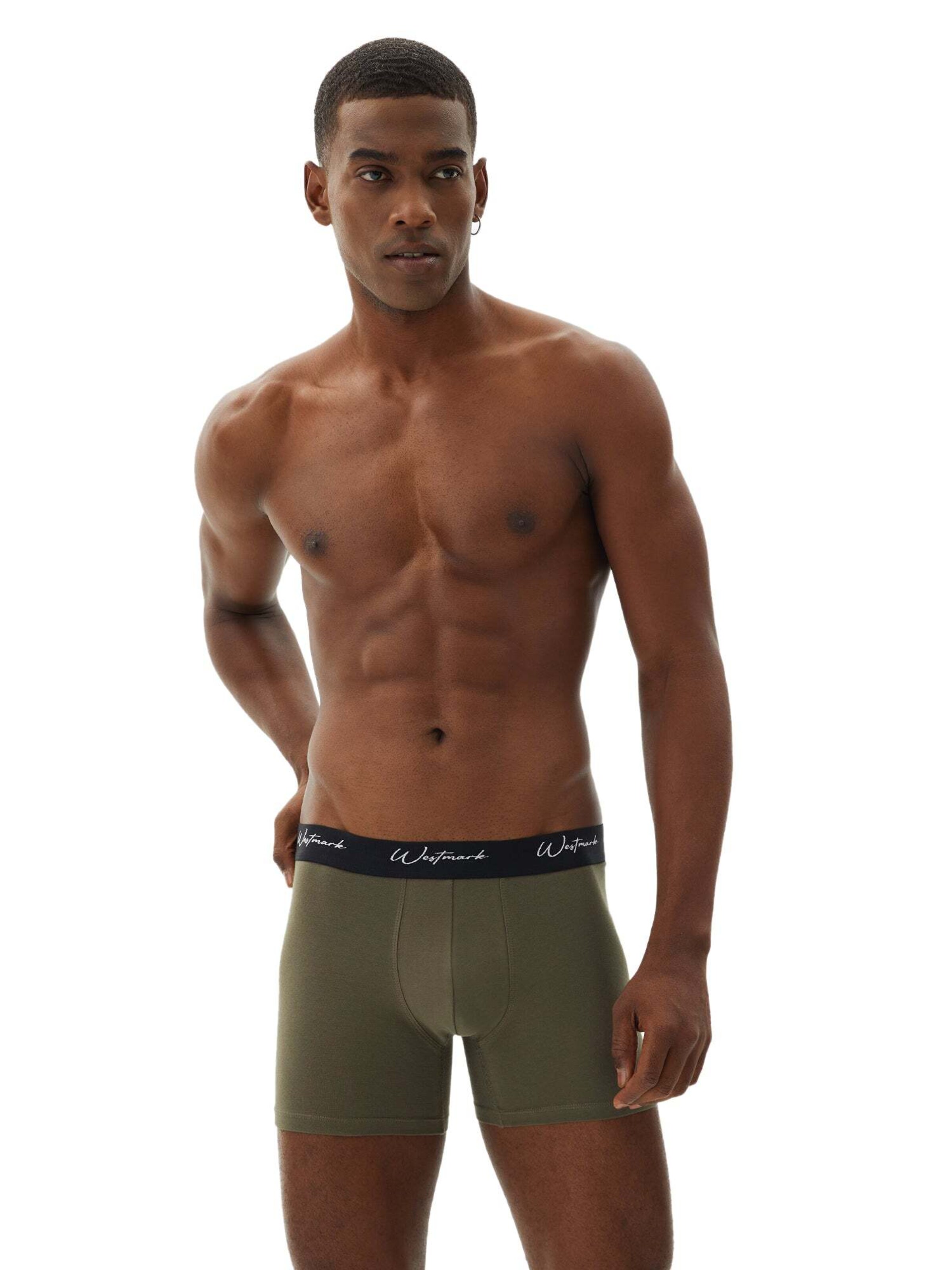 WESTMARK LONDON Boxershorts 'Lucas' in Blauw