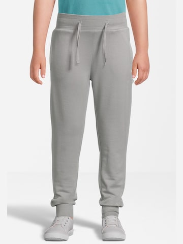 New Life Tapered Pants in Grey: front