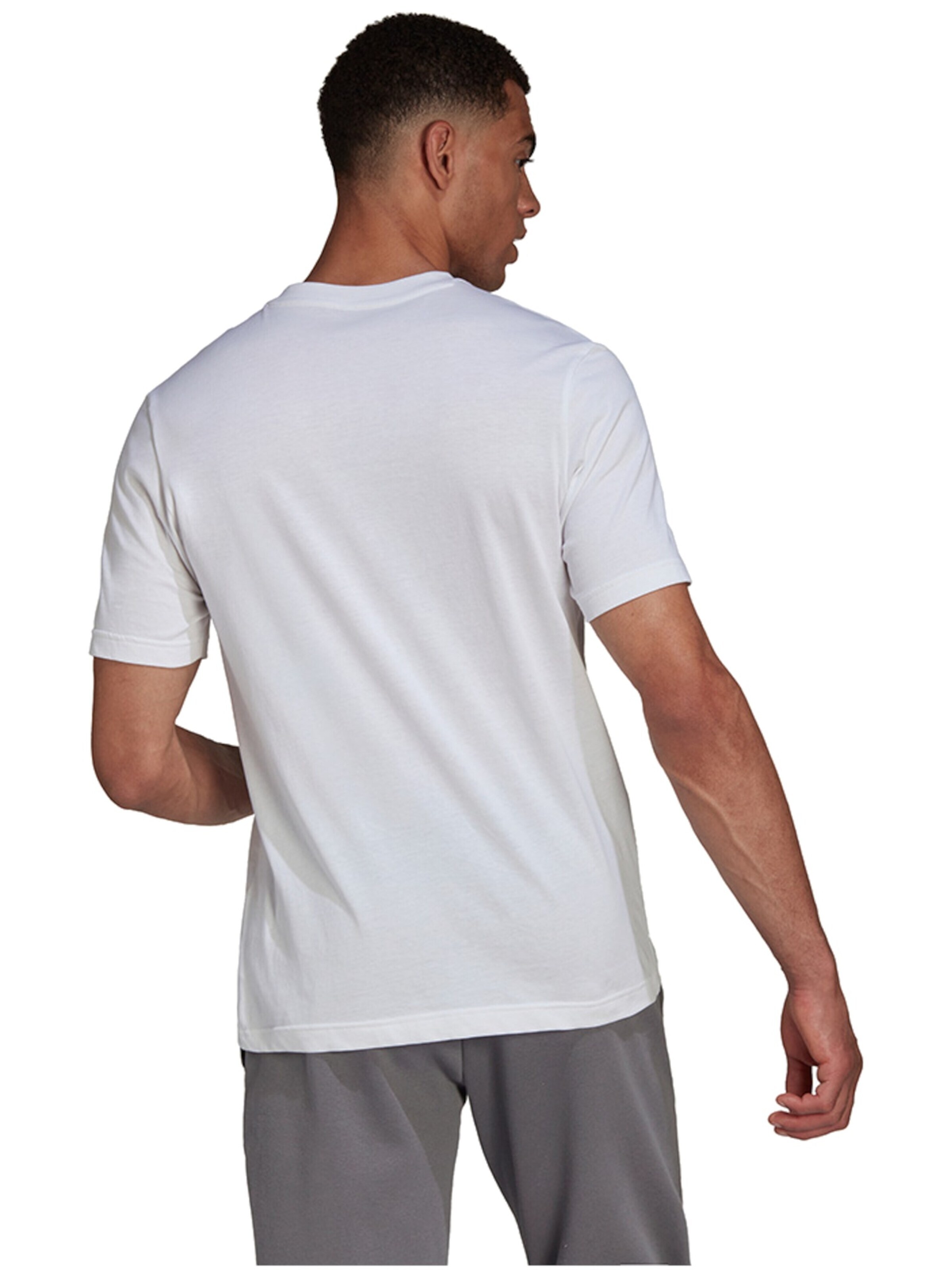 ADIDAS PERFORMANCE Functioneel shirt 'Ent22' in Wit