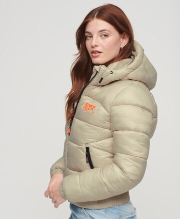 Superdry Winterjacke in Beige