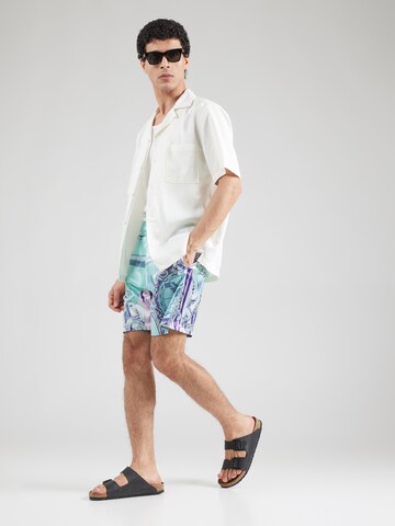 Carlo Colucci Regular Shorts in Grün