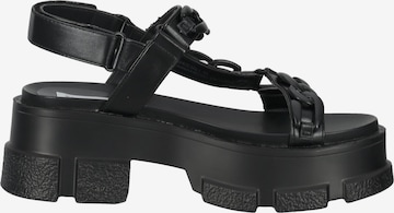 STEVE MADDEN Sandale in Schwarz