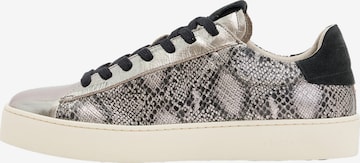 sidabrinė AllSaints Sportbačiai be auliuko 'SHANA MET': priekis