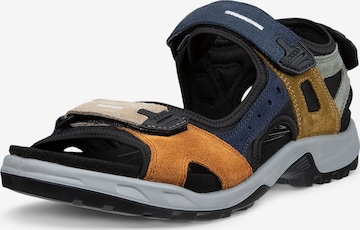 ECCO - Sandália 'Offroad' em azul: frente