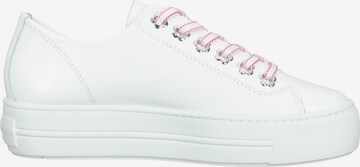 Paul Green Sneakers in White